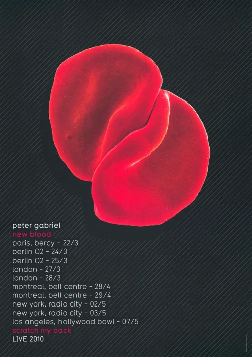 New Blood Scratch By Back live poster 2010