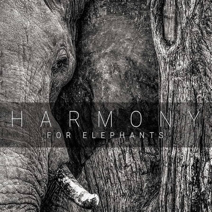 Harmony For Elephants (2017)