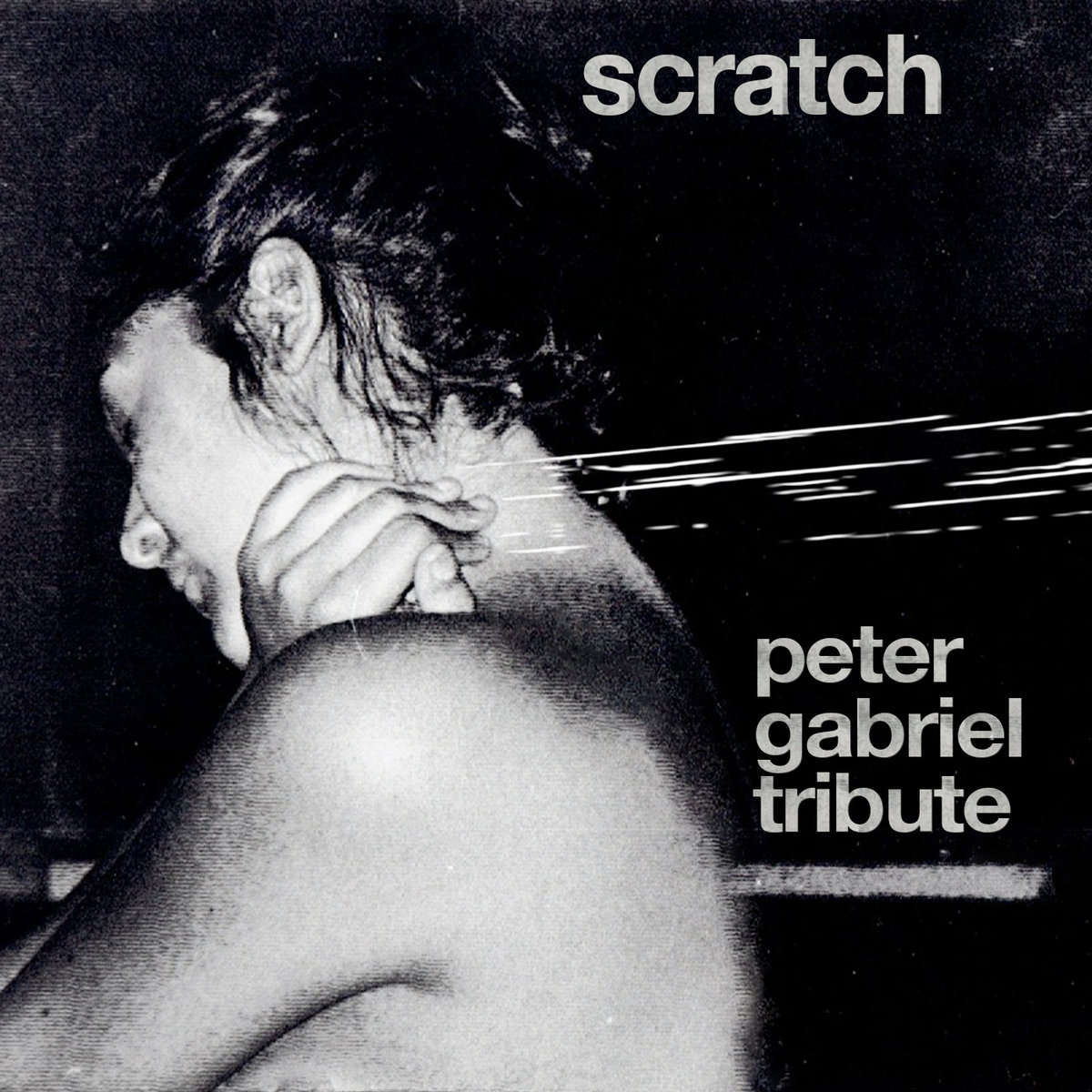 Peter Gabriels "Scratch": Israelisches Tribute Album