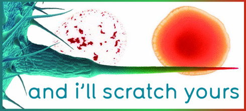 And I'll Scratch Yours (2013)