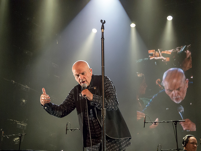 Plant Peter Gabriel Konzerte für 2016?